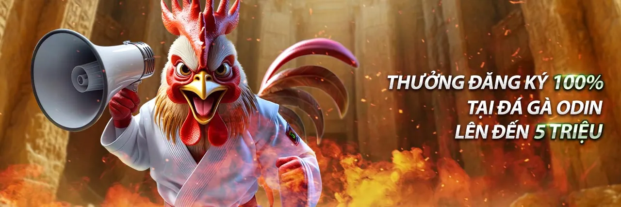 Hình ảnh chính về đánh giá nền tảng trực tiếp bóng đá và link bóng đá chất lượng cao